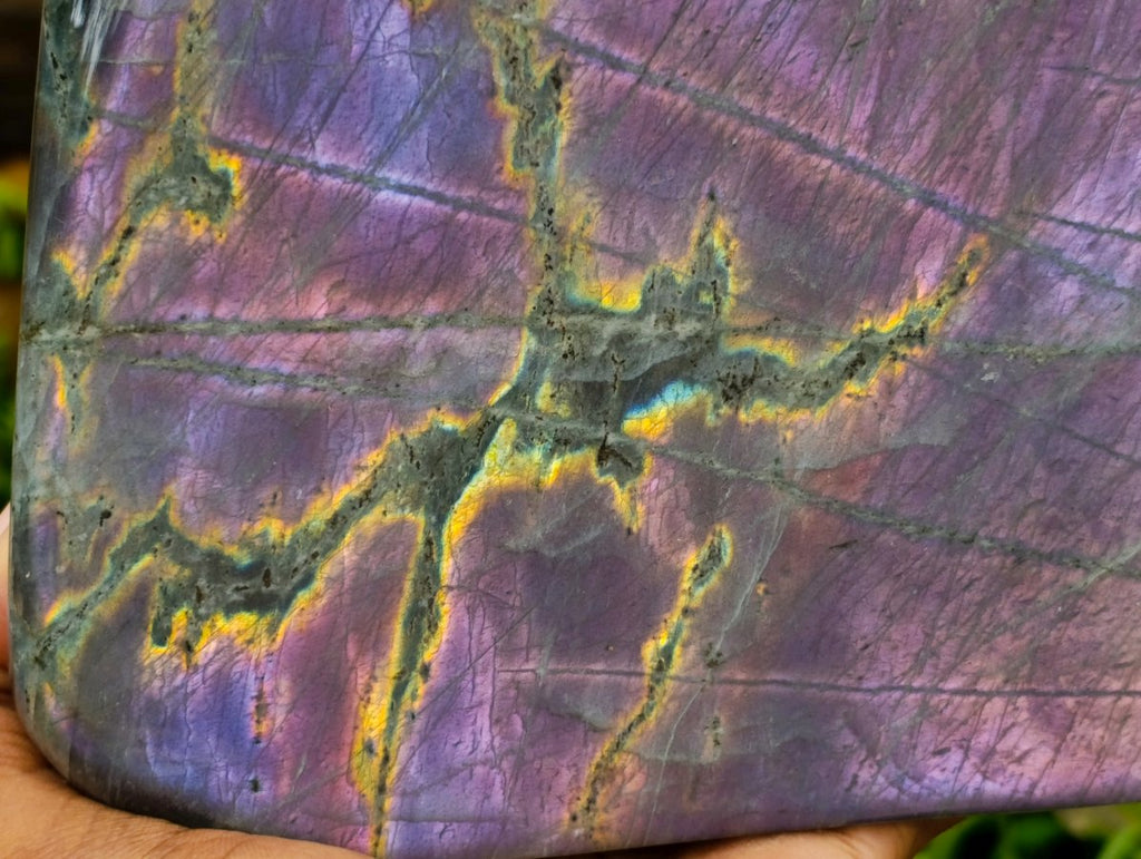 Polished XL Rare Purple Sunset Flash Labradorite Standing Free Form x 1 From Madagascar