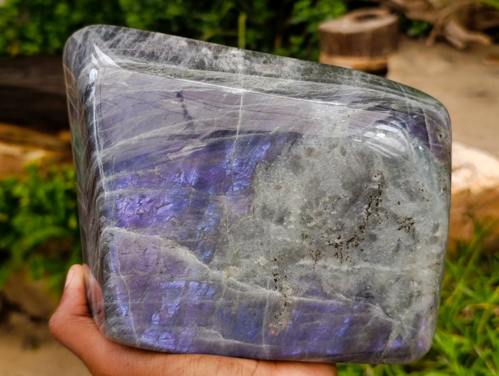 Polished XL Rare Purple Sunset Flash Labradorite Standing Free Form x 1 From Madagascar