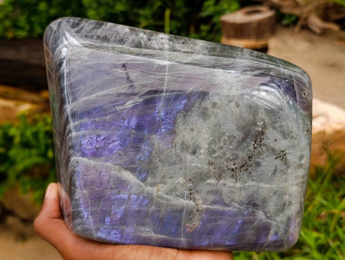 Polished XL Rare Purple Sunset Flash Labradorite Standing Free Form x 1 From Madagascar