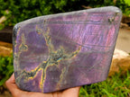 Polished XL Rare Purple Sunset Flash Labradorite Standing Free Form x 1 From Madagascar