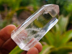 Polished Clear and Optic Quartz Crystals x 12 From Madagascar