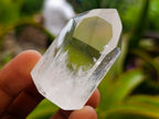 Polished Clear and Optic Quartz Crystals x 12 From Madagascar