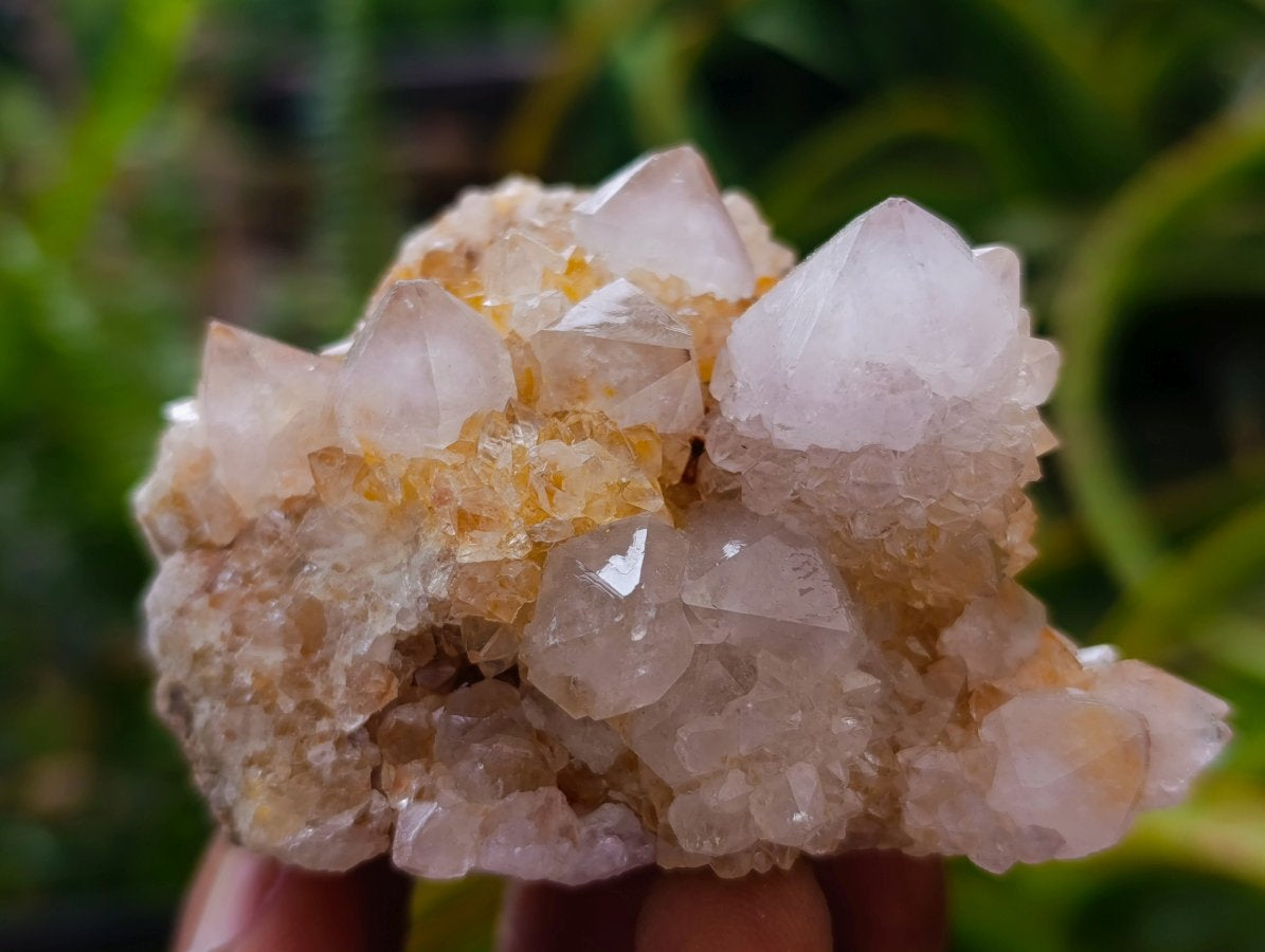 Natural Amethyst Spirit Crystals and Clusters x 12 From Boekenhouthoek, South Africa