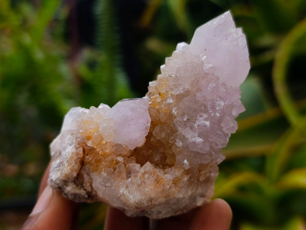 Natural Amethyst Spirit Crystals and Clusters x 12 From Boekenhouthoek, South Africa