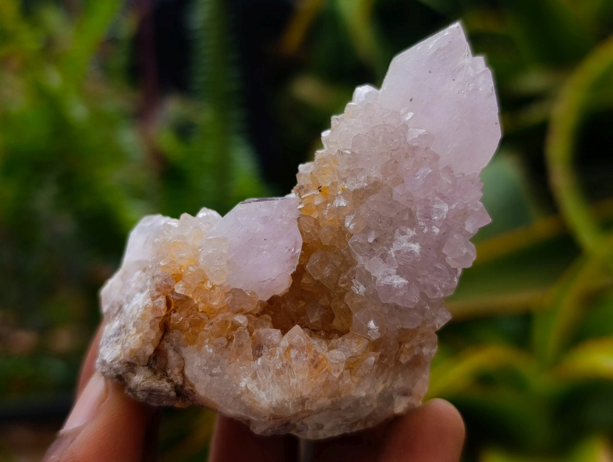 Natural Amethyst Spirit Crystals and Clusters x 12 From Boekenhouthoek, South Africa