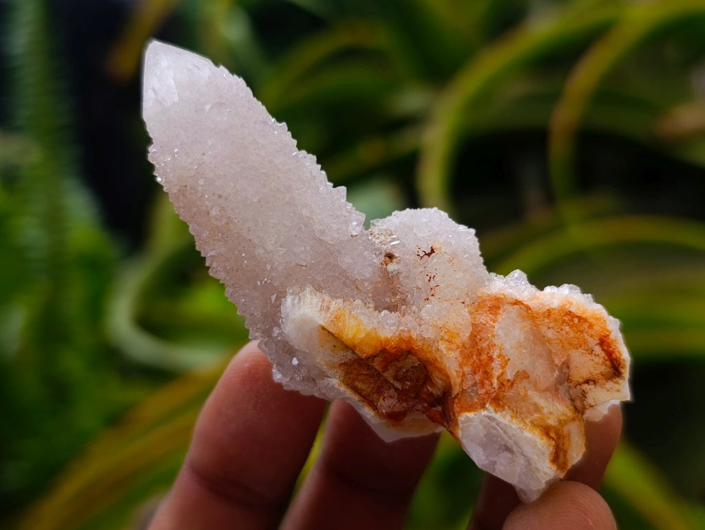 Natural Amethyst Spirit Crystals and Clusters x 12 From Boekenhouthoek, South Africa