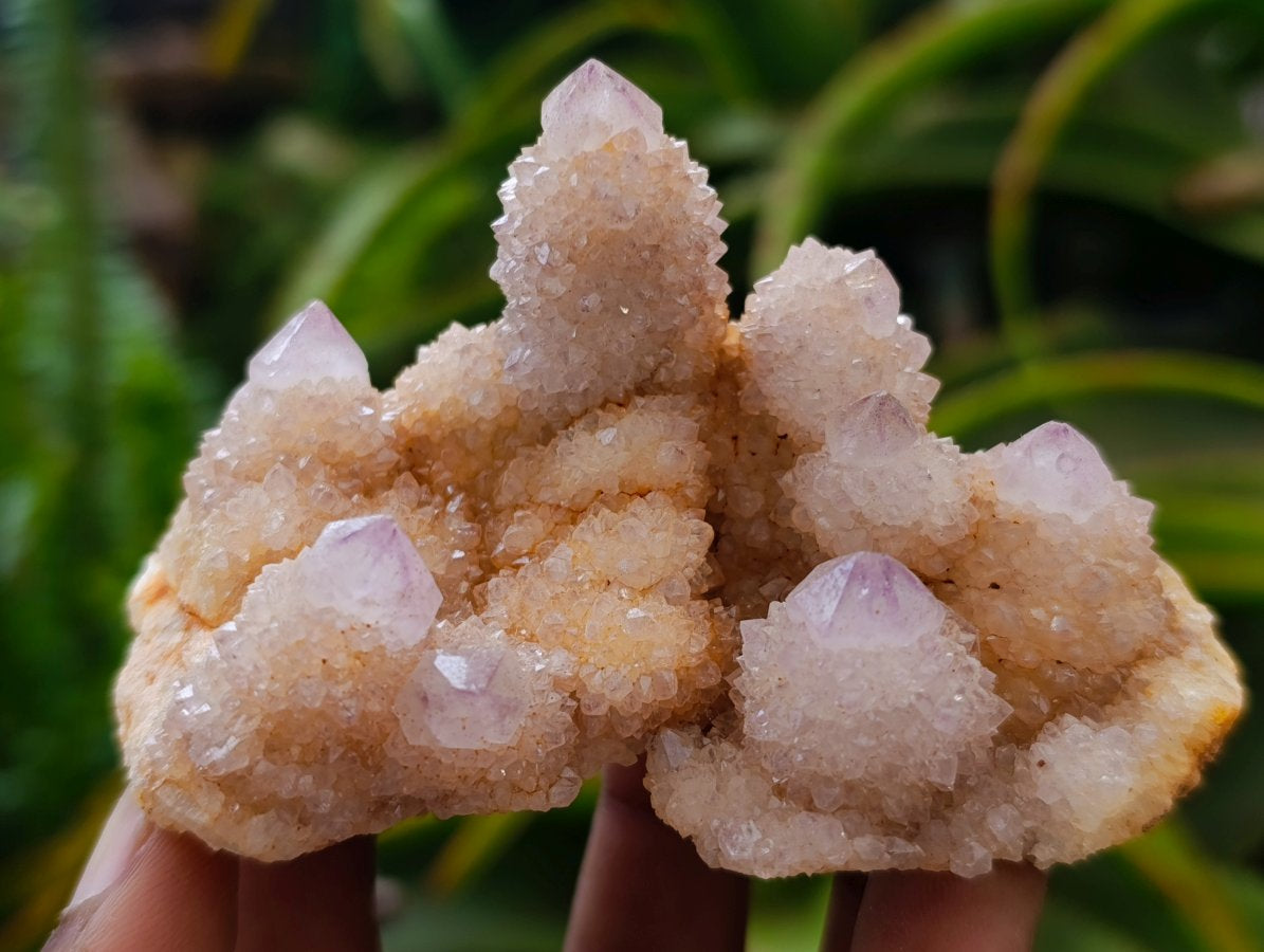 Natural Amethyst Spirit Crystals and Clusters x 12 From Boekenhouthoek, South Africa