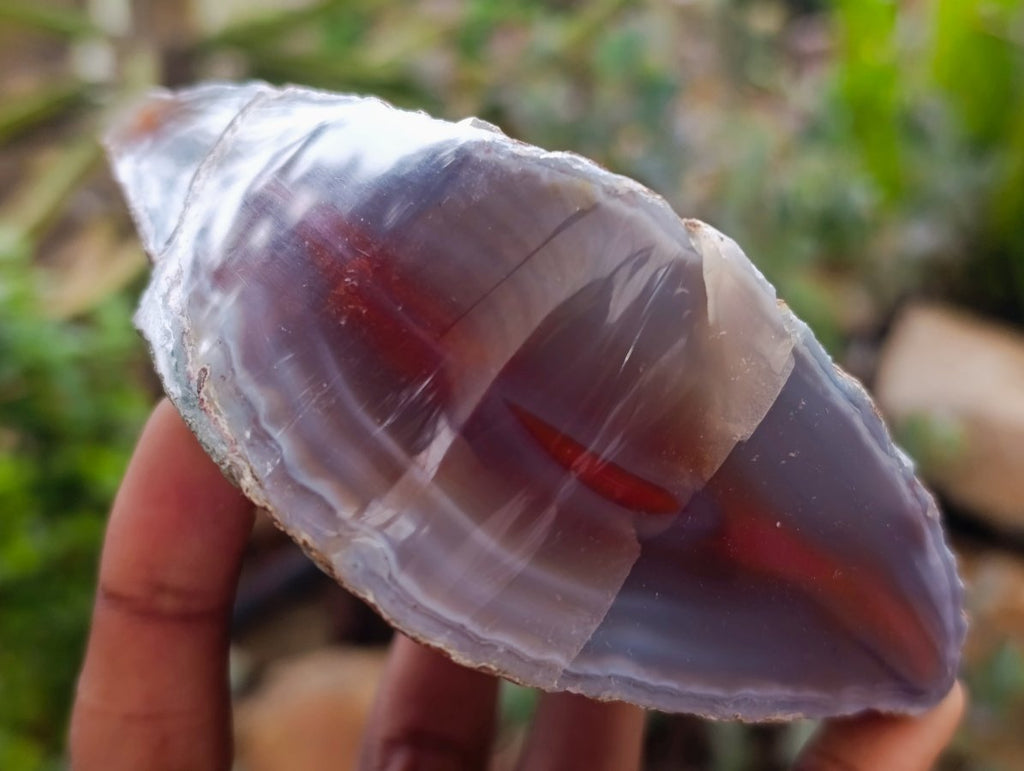Polished One Side Red Shashe River Agate Nodules x 3 From Shashe River, Zimbabwe