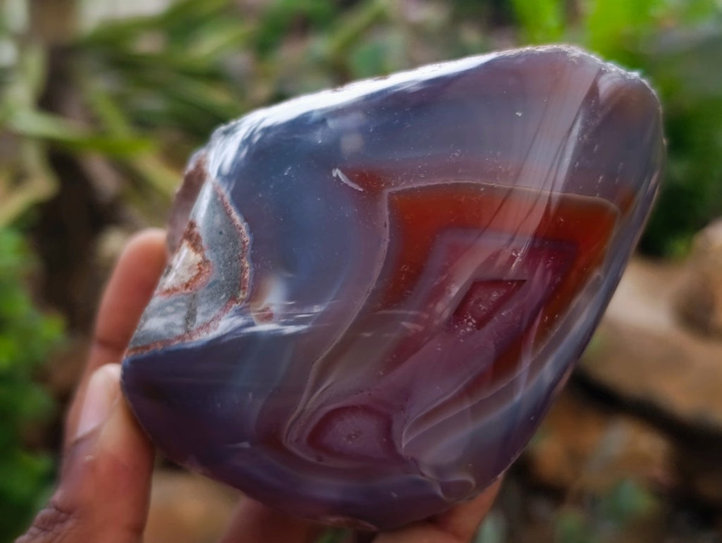 Polished One Side Red Shashe River Agate Nodules x 3 From Shashe River, Zimbabwe