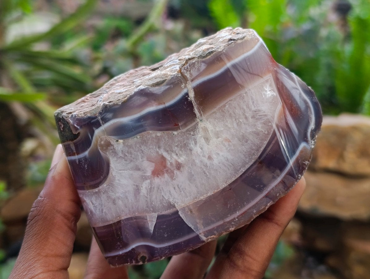 Polished One Side Red Shashe River Agate Nodules x 3 From Shashe River, Zimbabwe