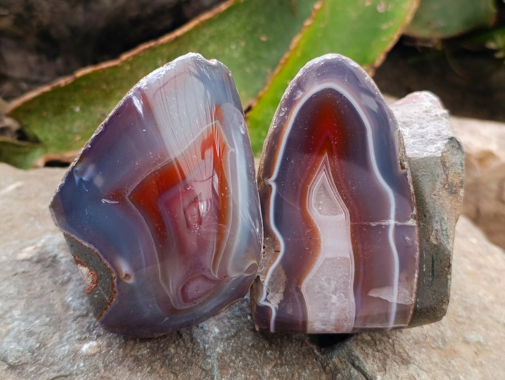 Polished One Side Red Shashe River Agate Nodules x 3 From Shashe River, Zimbabwe
