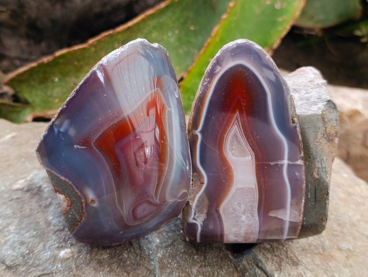 Polished One Side Red Shashe River Agate Nodules x 3 From Shashe River, Zimbabwe