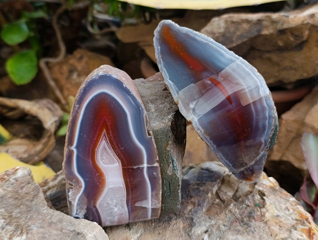 Polished One Side Red Shashe River Agate Nodules x 3 From Shashe River, Zimbabwe