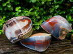 Polished One Side Red Shashe River Agate Nodules x 3 From Shashe River, Zimbabwe