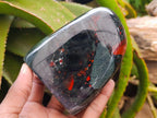 Polished Bloodstone Standing Free Forms x 2 From Swaziland