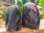 Polished Bloodstone Standing Free Forms x 2 From Swaziland