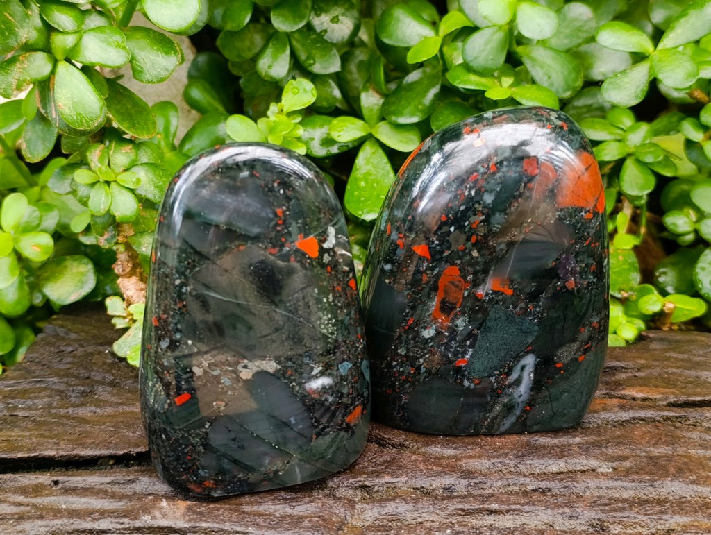 Polished Bloodstone Standing Free Forms x 2 From Swaziland