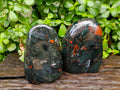 Polished Bloodstone Standing Free Forms x 2 From Swaziland