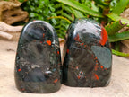 Polished Bloodstone Standing Free Forms x 2 From Swaziland