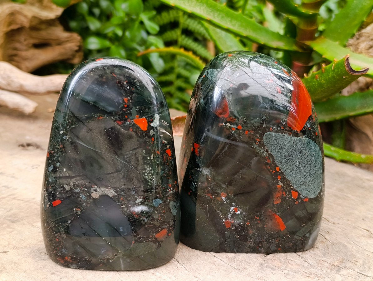 Polished Bloodstone Standing Free Forms x 2 From Swaziland