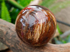 Polished Red Podocarpus Petrified Wood Spheres x 2 From Mahajanga, Madagascar