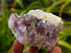 Natural Rare Amethyst Asylum Quartz Clusters x 12 From Luena, Congo