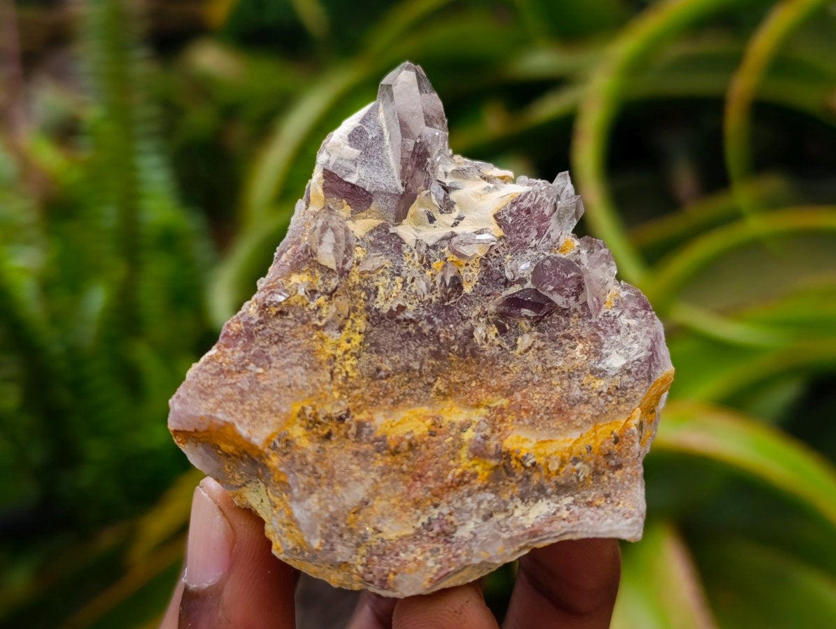 Natural Rare Amethyst Asylum Quartz Clusters x 12 From Luena, Congo