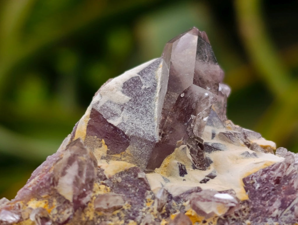 Natural Rare Amethyst Asylum Quartz Clusters x 12 From Luena, Congo