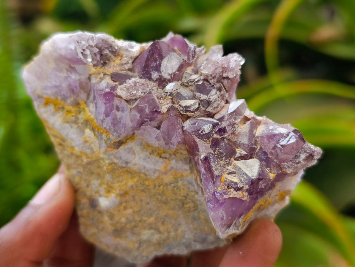 Natural Rare Amethyst Asylum Quartz Clusters x 12 From Luena, Congo