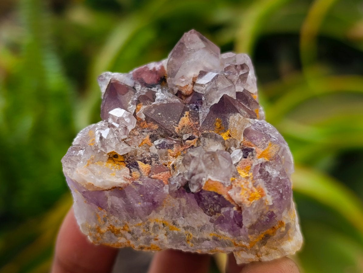 Natural Rare Amethyst Asylum Quartz Clusters x 12 From Luena, Congo