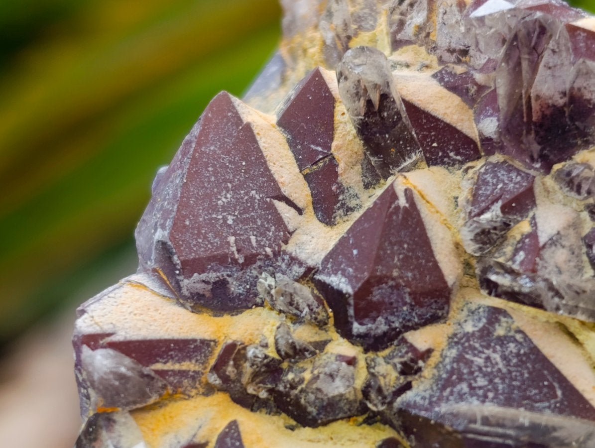 Natural Rare Amethyst Asylum Quartz Clusters x 12 From Luena, Congo
