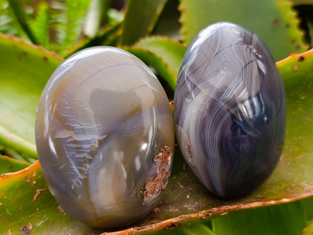 Polished Banded Agate Palm Stones x 15 From Madagascar