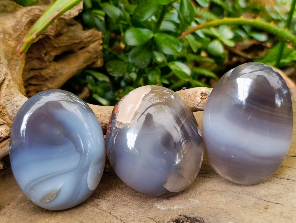 Polished Banded Agate Palm Stones x 15 From Madagascar