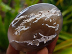 Polished Banded Agate Palm Stones x 15 From Madagascar