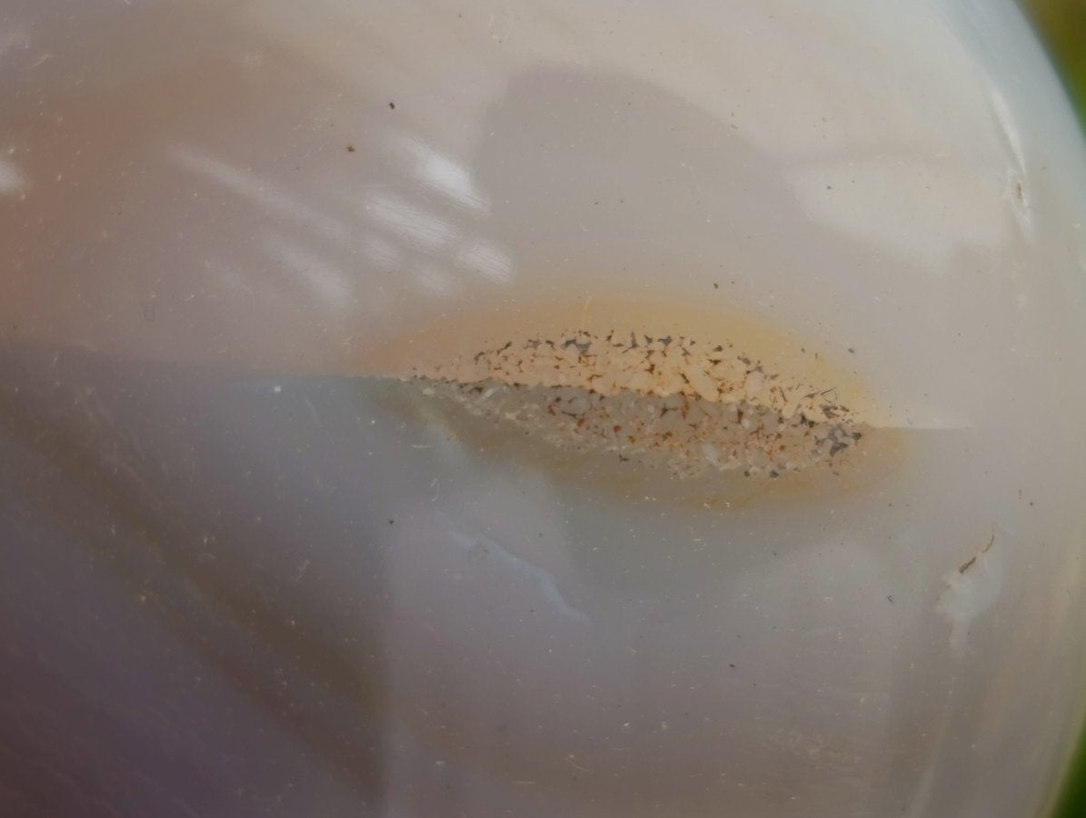 Polished Banded Agate Palm Stones x 15 From Madagascar