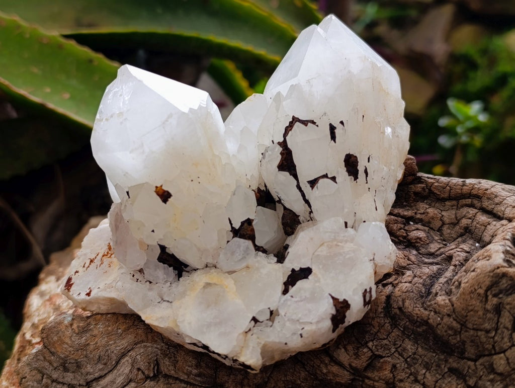 Natural Clear Quartz Crystal Clusters x 3 From Madagascar