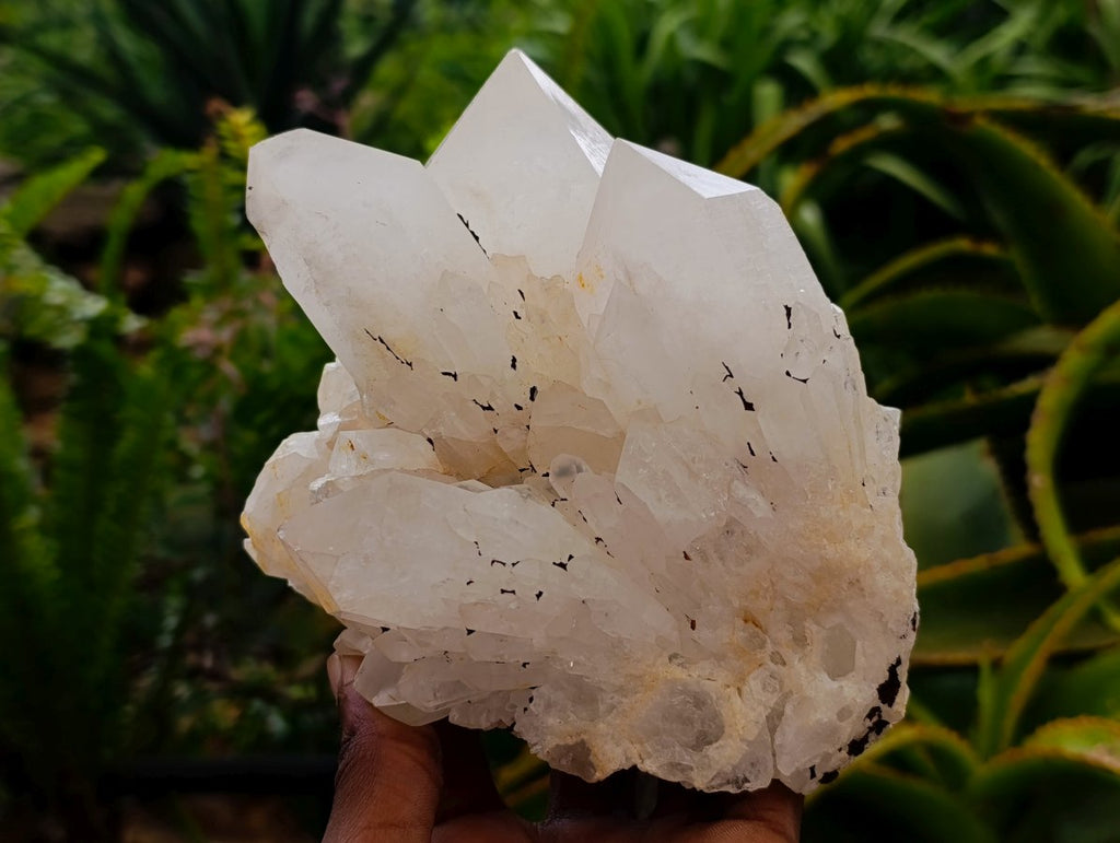 Natural Clear Quartz Crystal Clusters x 3 From Madagascar