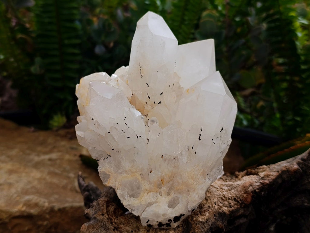 Natural Clear Quartz Crystal Clusters x 3 From Madagascar
