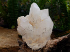Natural Clear Quartz Crystal Clusters x 3 From Madagascar