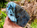 Polished Labradorite Standing Free Forms x 2 From Madagascar