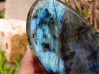 Polished Labradorite Standing Free Forms x 2 From Madagascar