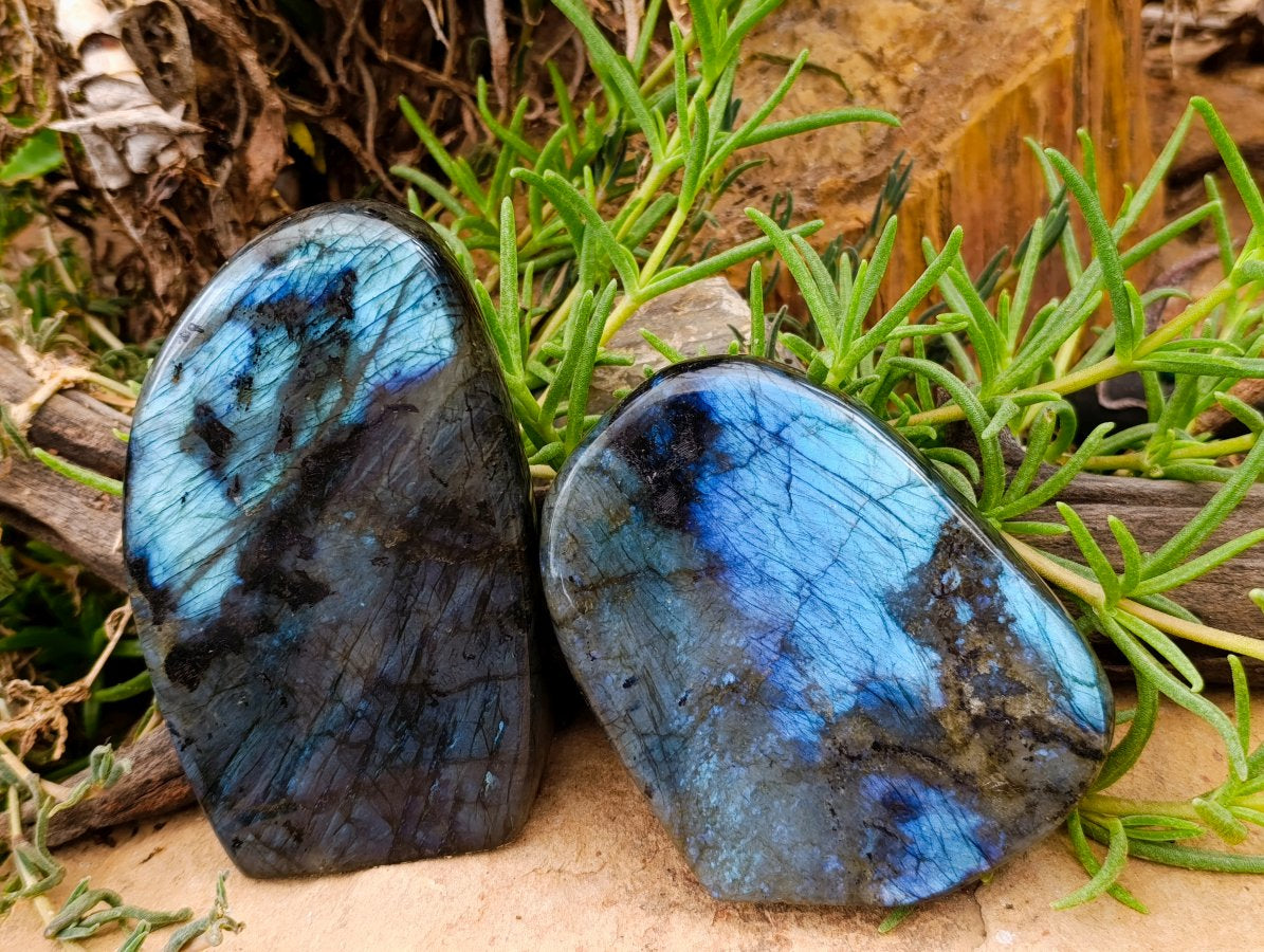 Polished Labradorite Standing Free Forms x 2 From Madagascar