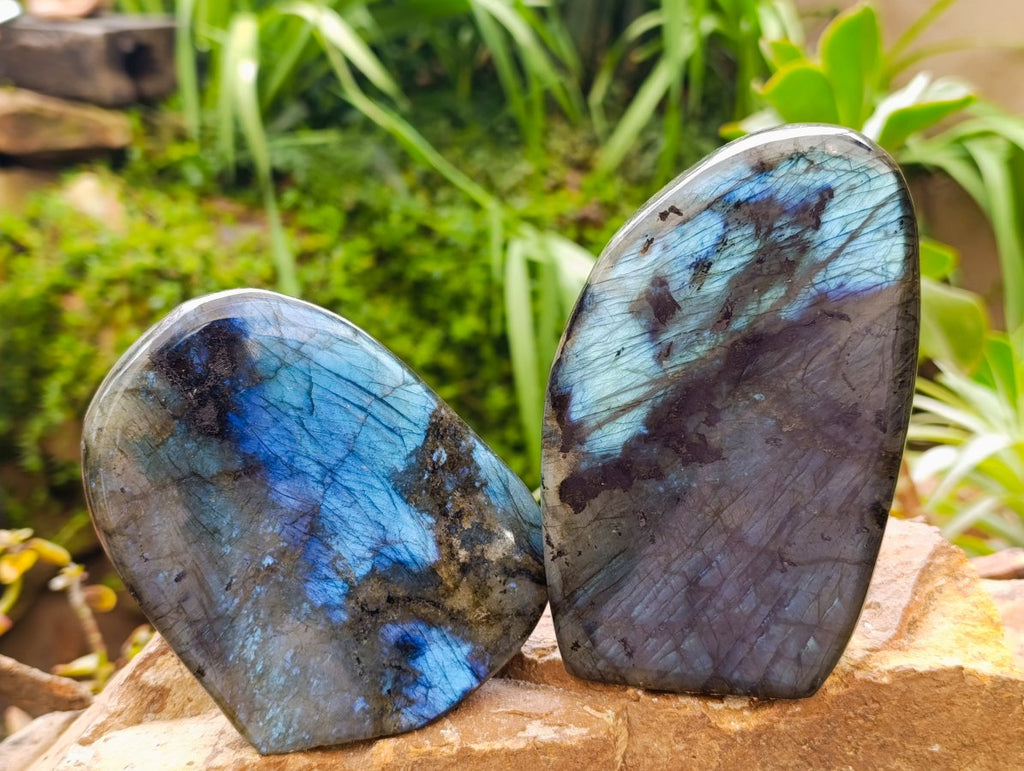 Polished Labradorite Standing Free Forms x 2 From Madagascar