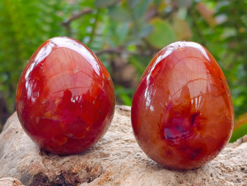 Polished Carnelian Agate Gemstone Eggs x 12 From Madagascar