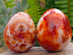Polished Carnelian Agate Gemstone Eggs x 12 From Madagascar