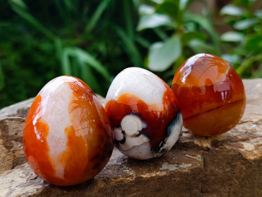 Polished Carnelian Agate Gemstone Eggs x 12 From Madagascar