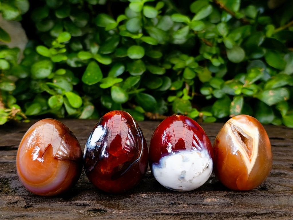 Polished Carnelian Agate Gemstone Eggs x 12 From Madagascar