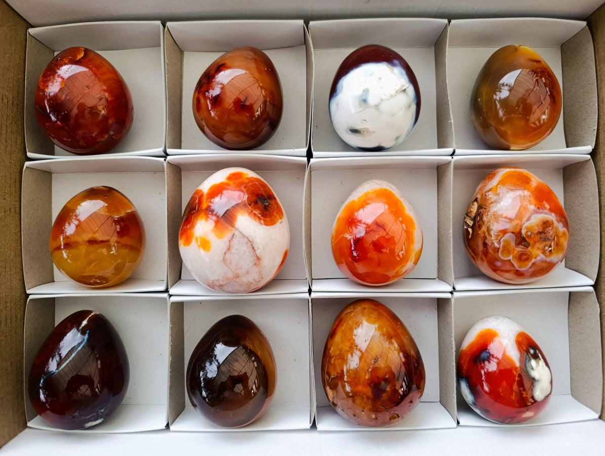Polished Carnelian Agate Gemstone Eggs x 12 From Madagascar