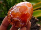 Polished Carnelian Agate Gemstone Eggs x 12 From Madagascar