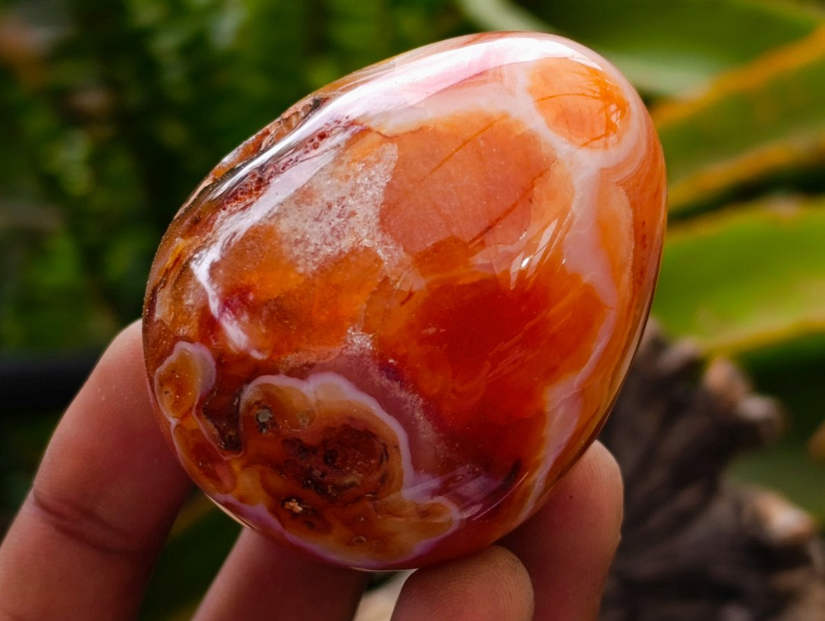 Polished Carnelian Agate Gemstone Eggs x 12 From Madagascar